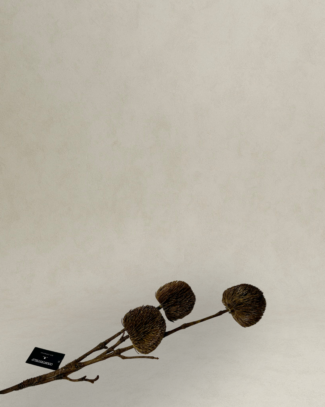 Kunsttak Spirea