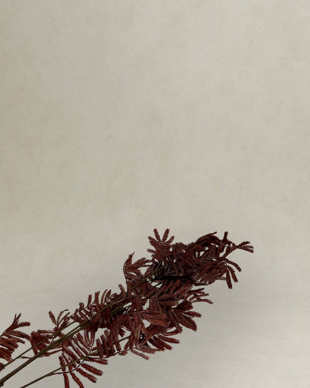 Kunsttak Banksia