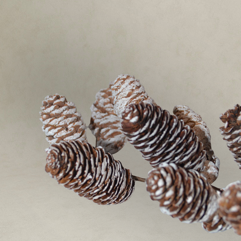 Kunsttak Dennenappels